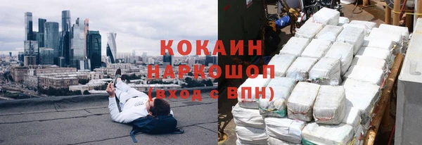 дурь Бородино