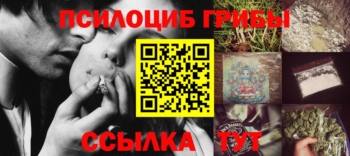 Галлюциногенные грибы Psilocybe  Мариинск  Псилоцибиновые грибы мицелий 